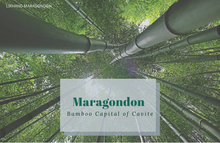 Load image into Gallery viewer, Ref Magnet